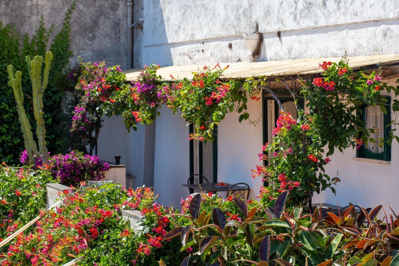 Il Pettirosso In Positano Villa Dış mekan fotoğraf