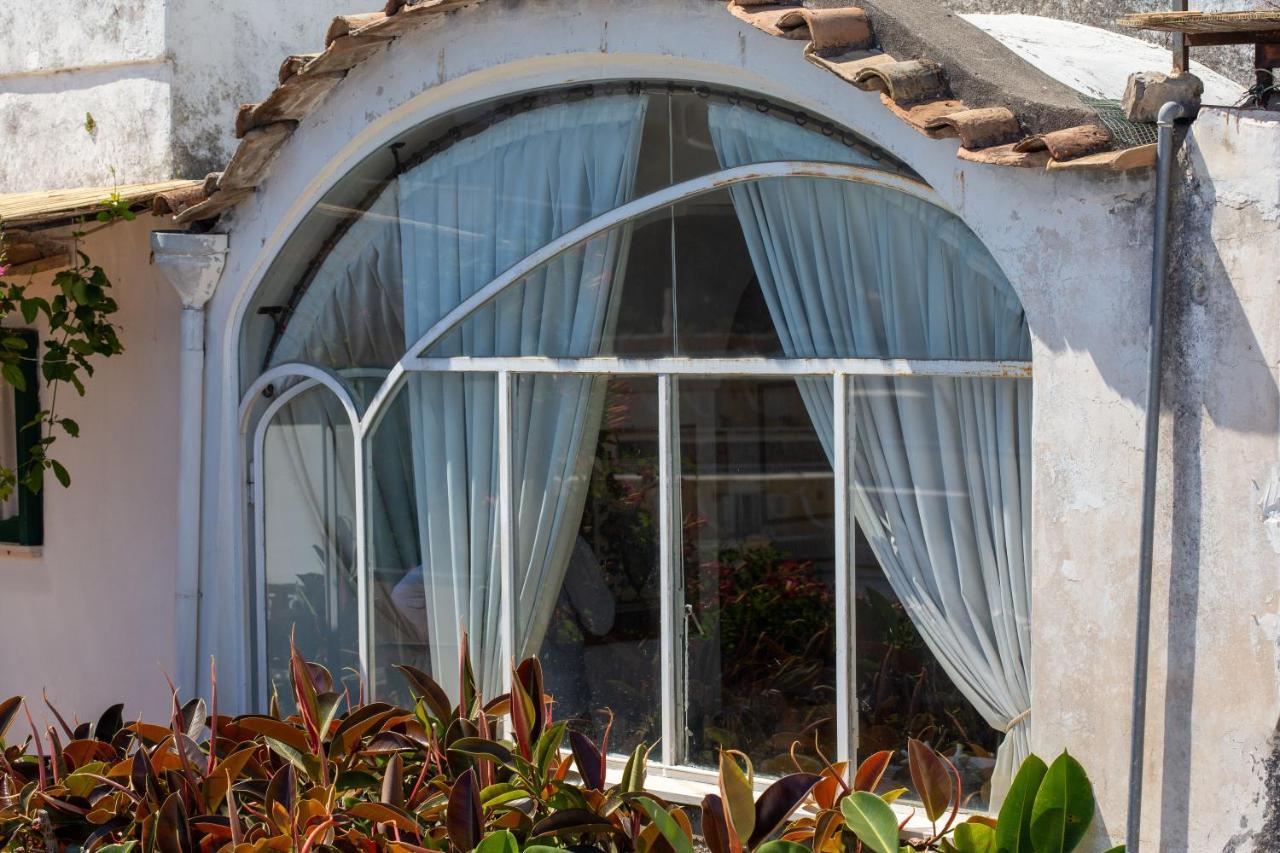 Il Pettirosso In Positano Villa Dış mekan fotoğraf