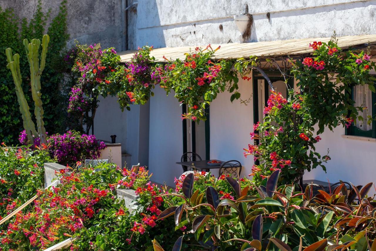 Il Pettirosso In Positano Villa Dış mekan fotoğraf