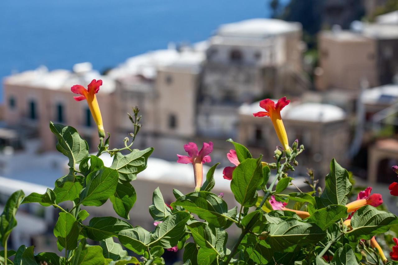 Il Pettirosso In Positano Villa Dış mekan fotoğraf